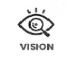 Vision