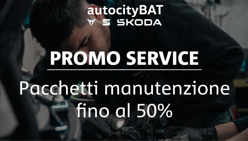 tagliando.jpg